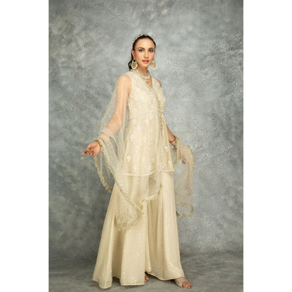 Tanu Malhotra Beige Organza Embroidered Sharara with Peplum Top and Dupatta (Set of 3)