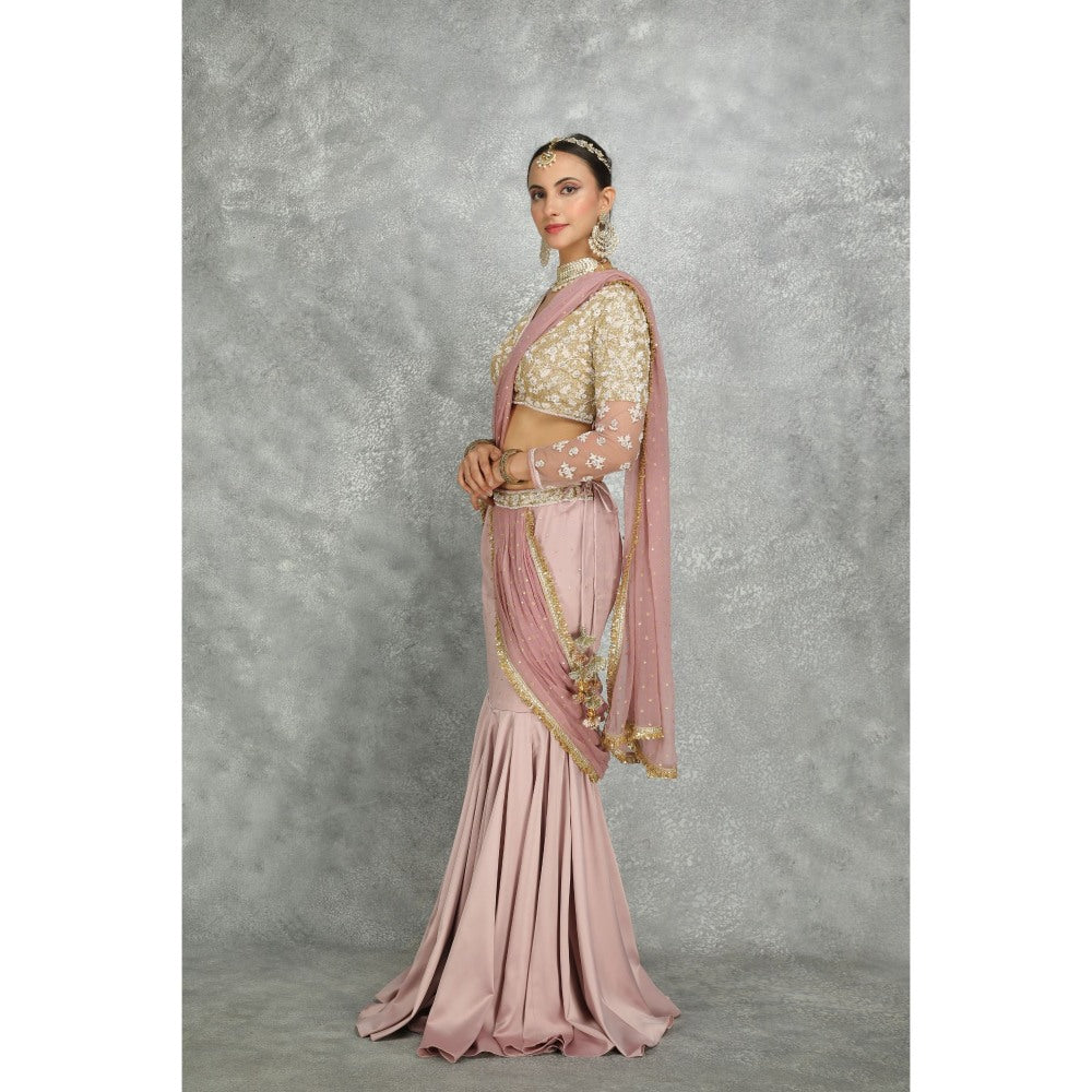 Tanu Malhotra Pink Net & Chiffon Draped Fish-Cut Skirt Saree with Stitched Blouse