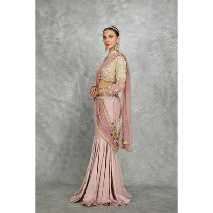 Tanu Malhotra Pink Net & Chiffon Draped Fish-Cut Skirt Saree with Stitched Blouse