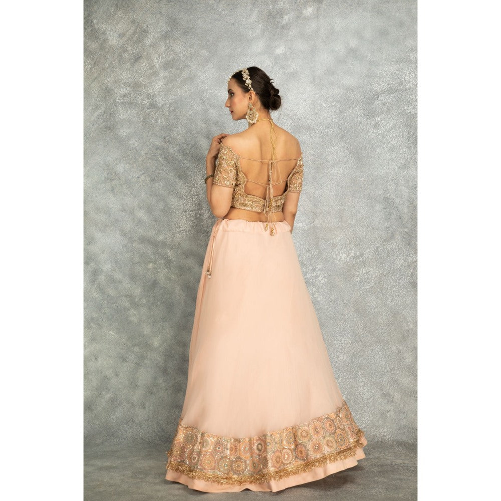 Tanu Malhotra Peach Georgette Sequins Embroidered Lehenga With Blouse And Dupatta (Set of 3)