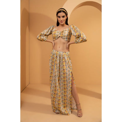 Tarini Vij Multicolor Gwen Co-Ord (Set of 2)