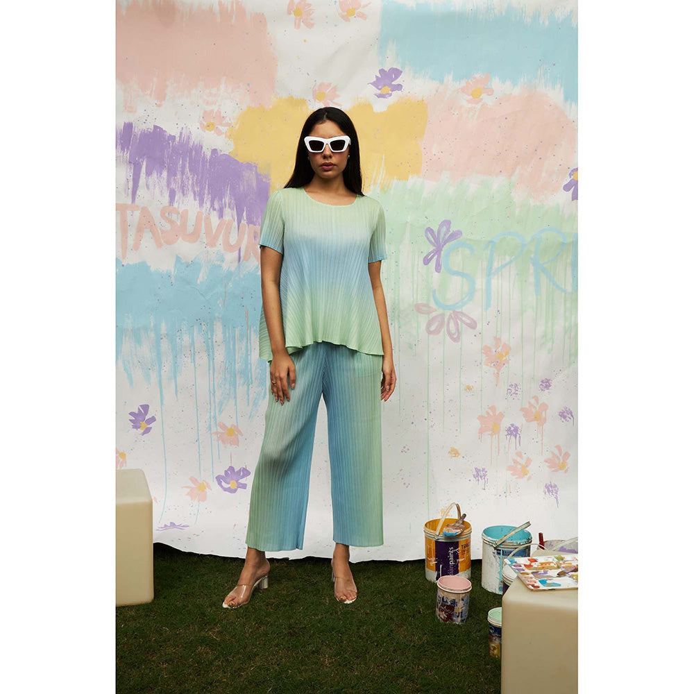 TASUVURE Green Shirley Sleek Ombre Pleated Co-Ord (Set of 2)
