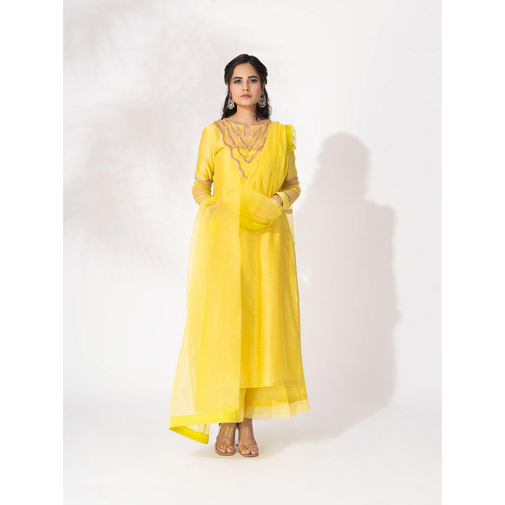 THE AARYA Yellow Handwoven Chanderi Embroidered Kurta (Set of 4)