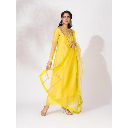 THE AARYA Yellow Handwoven Chanderi Embroidered Kurta (Set of 4)
