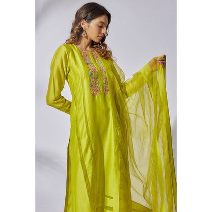 THE AARYA Lime Green Handwoven Chanderi Embroidered Kurta (Set of 3)