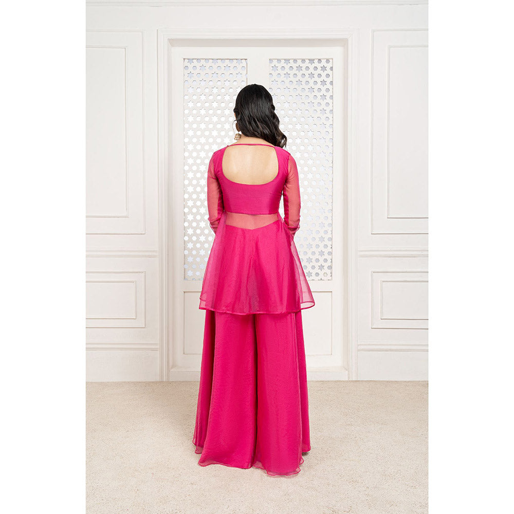 THE AARYA Pink Organza Embroidered Gharara (Set of 3)