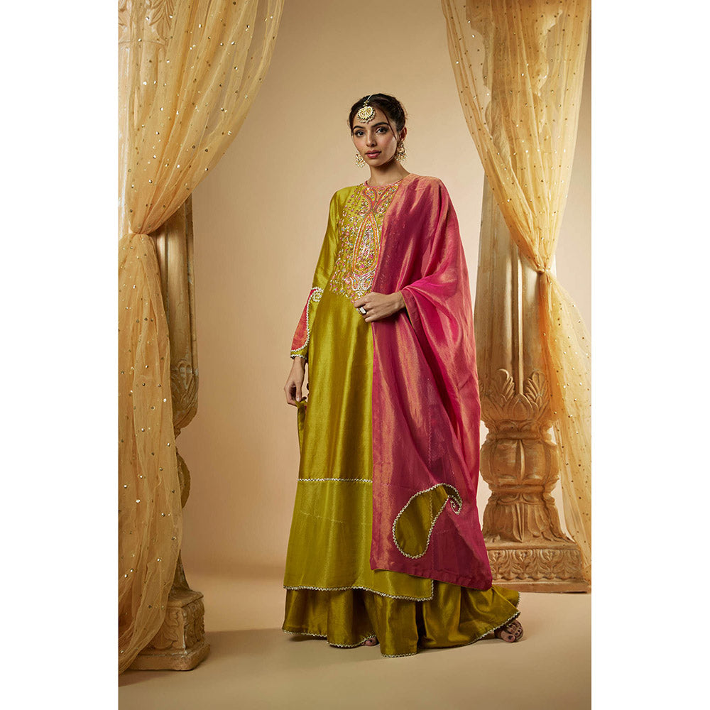 THE AARYA Olive Green Chanderi Zardozi Embroidered Kurta with Sharara & Dupatta (Set of 3)