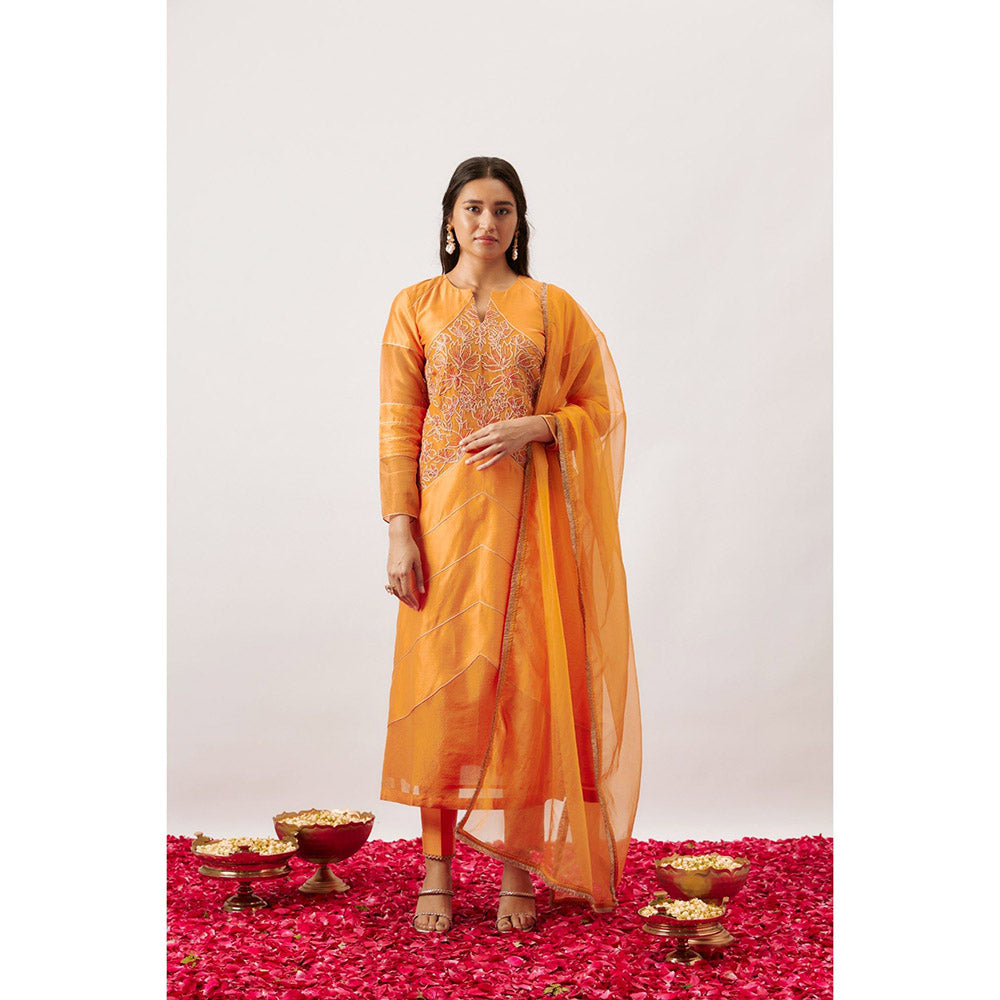 THE AARYA Orange Handwoven Anarkali with Pant and Dupatta (Set of 3)