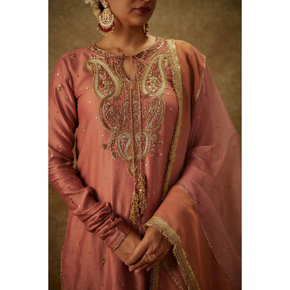 THE AARYA Naira Pink Embroider Ed Kurta with Palazzo and Dupatta (Set of 3)