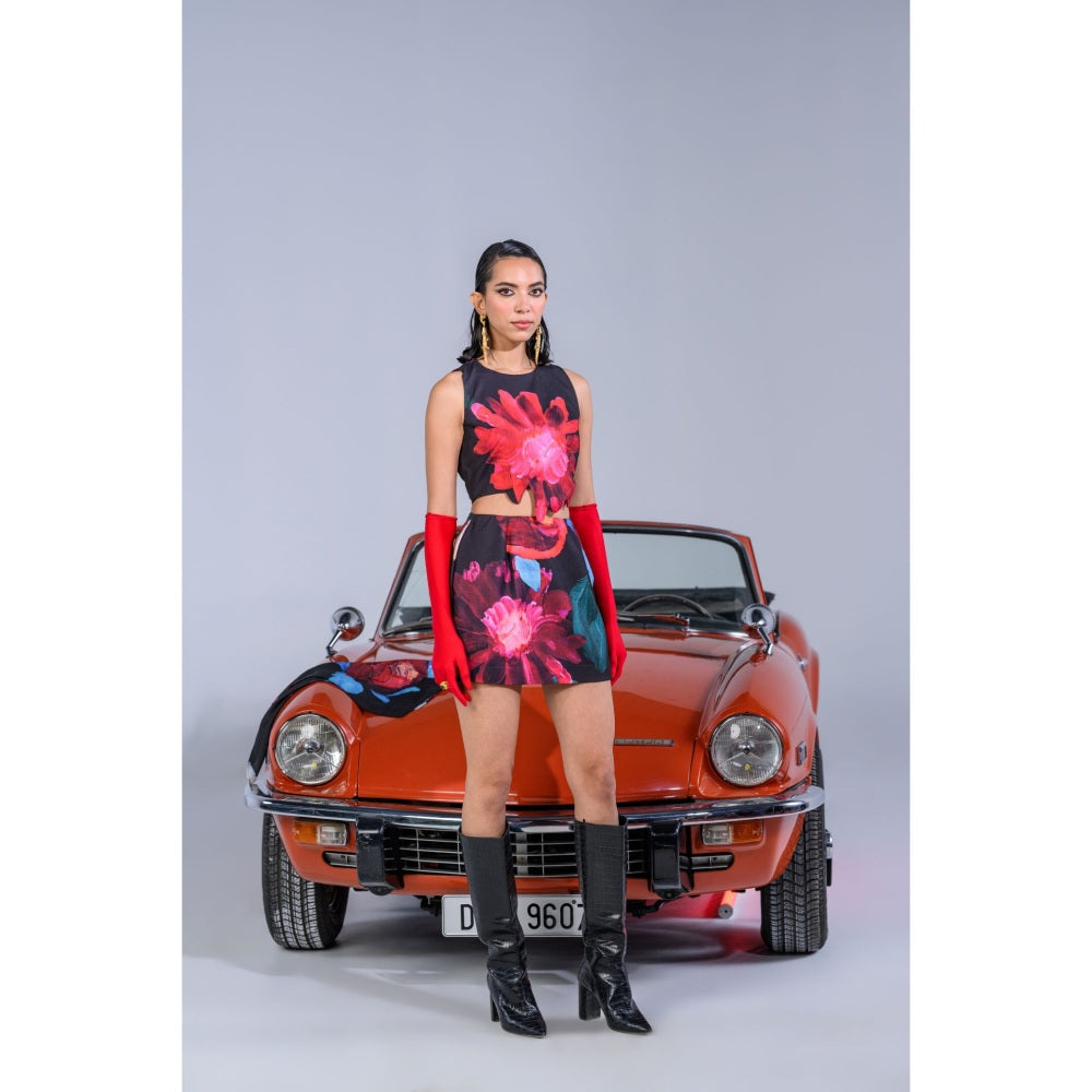 The Dramebaaz Company Dahlia Dreamland Skirt with Crop Top (Set of 2)