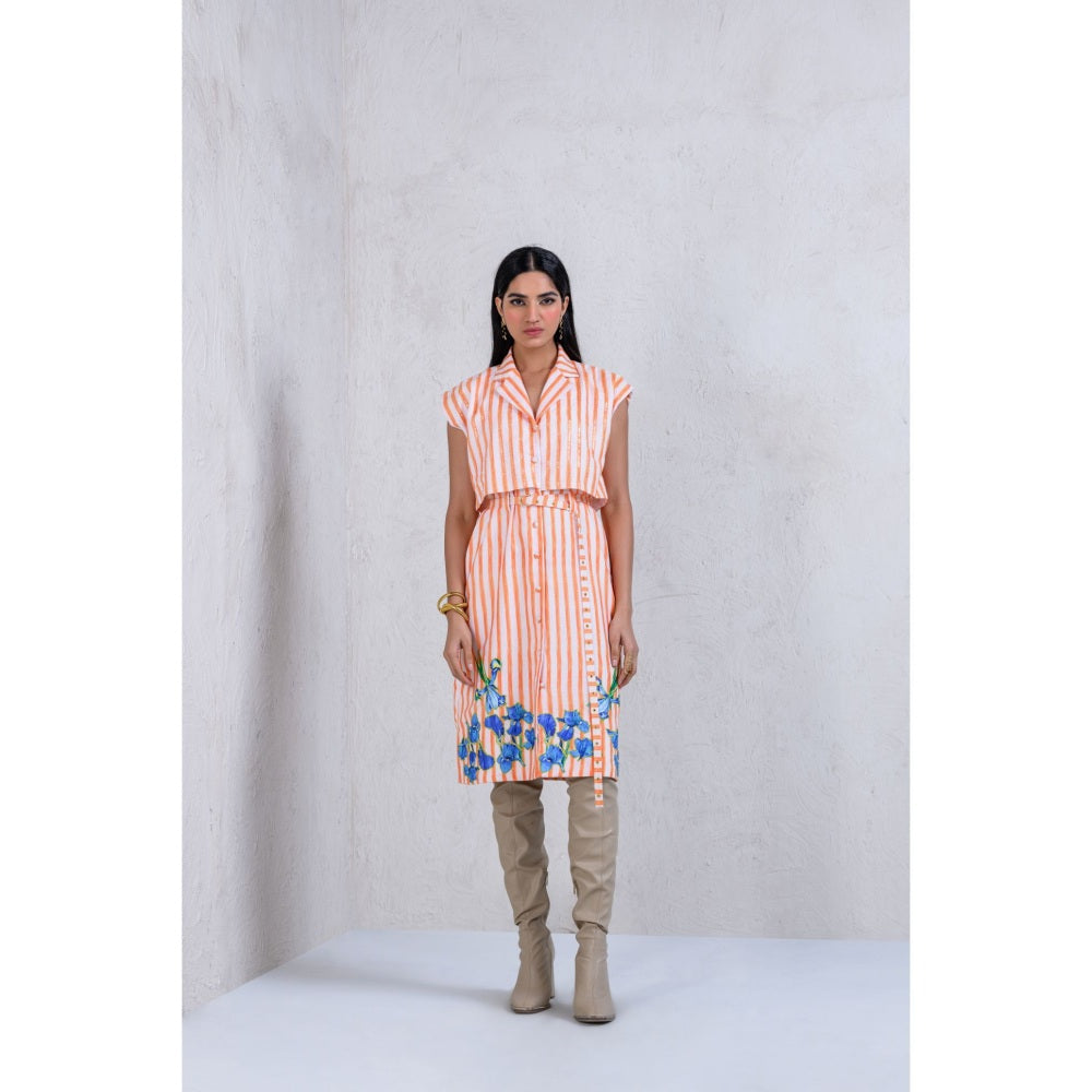 The Dramebaaz Company Mystical Meadow Trench Dress with Belt (Set of 2)