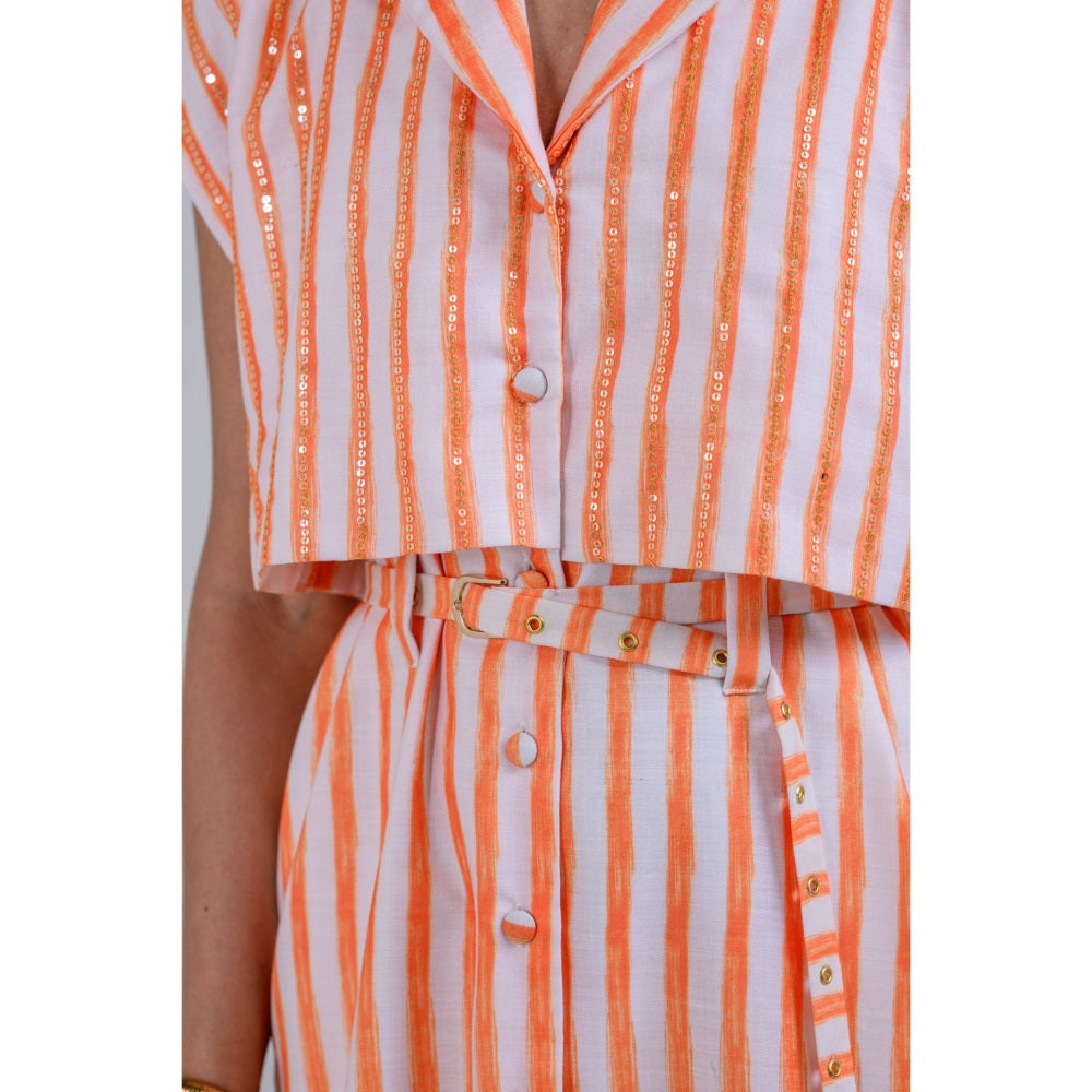 The Dramebaaz Company Mystical Meadow Trench Dress with Belt (Set of 2)