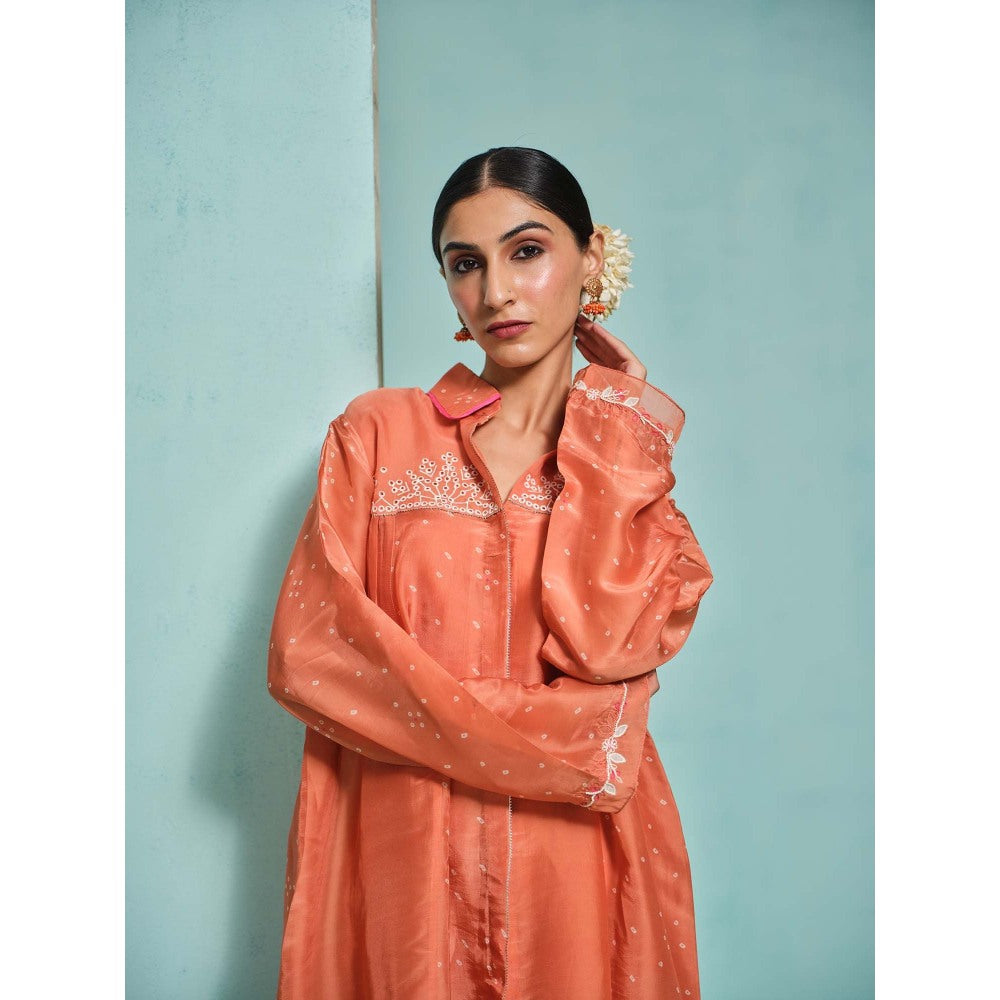 The Clothing Therapy Orange Kurta with Pant (Set of 2)