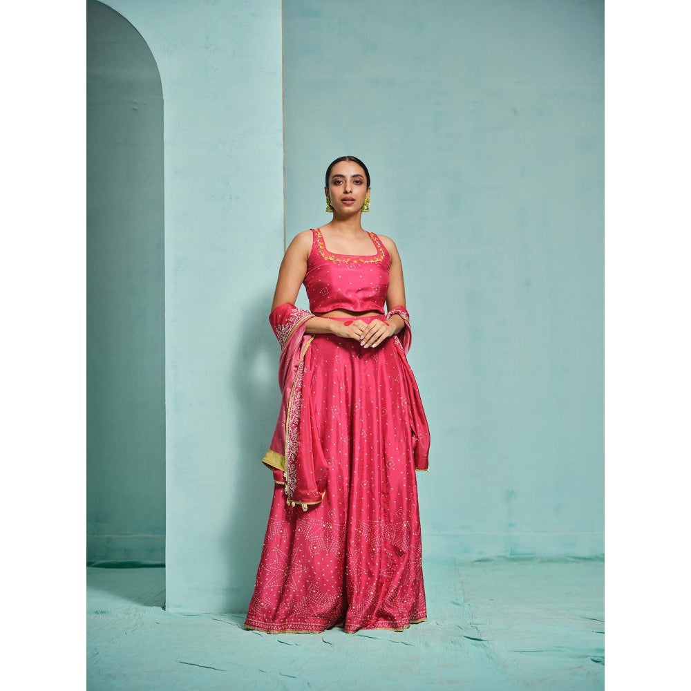 The Clothing Therapy Pink Lehenga with Blouse and Dupatta (Set of 3)