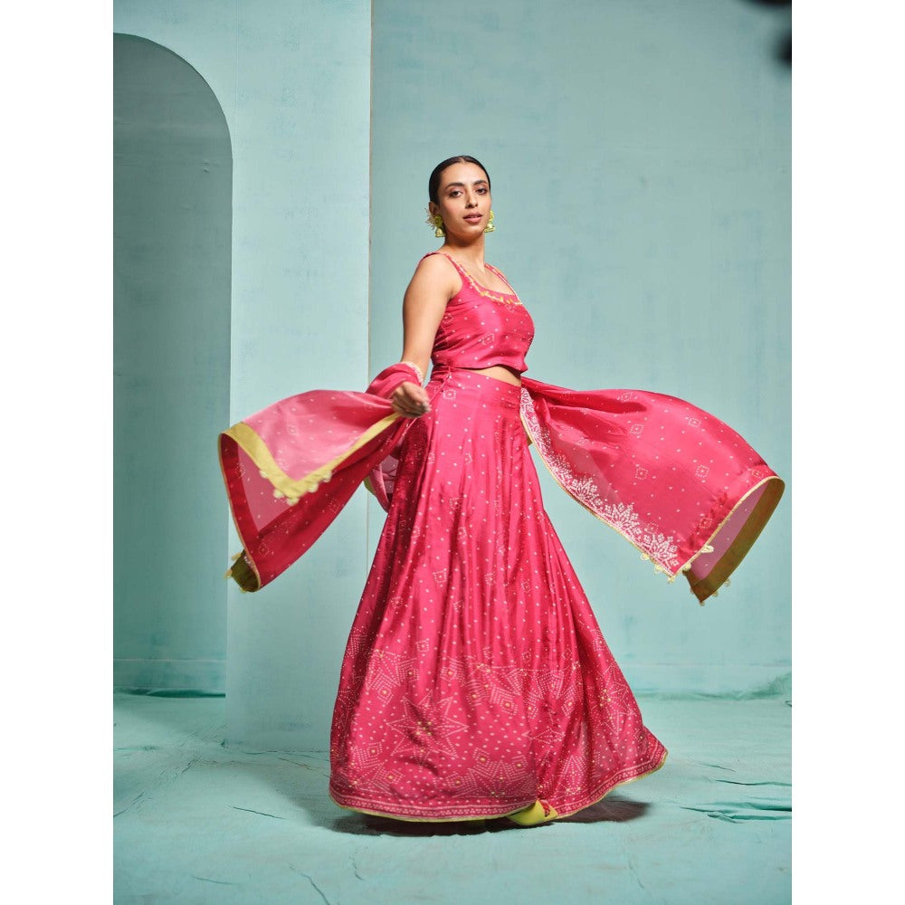 The Clothing Therapy Pink Lehenga with Blouse and Dupatta (Set of 3)
