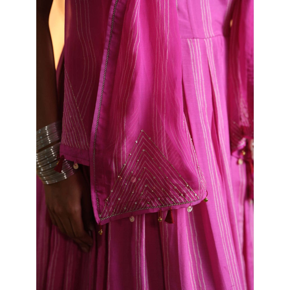 The Clothing Therapy Pink Corset Gown with Stole (Set of 2)