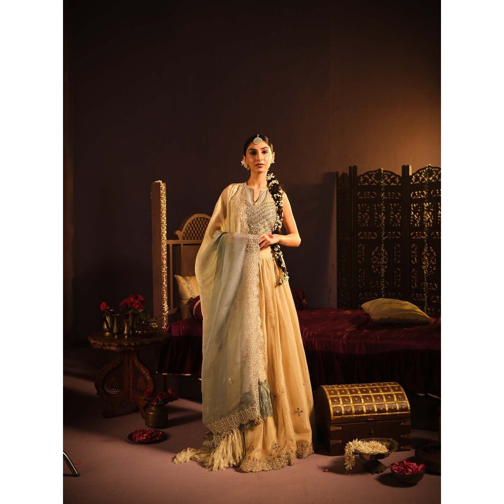 The Clothing Therapy Powder Blue Lehenga with Blouse and Dupatta (Set of 3)