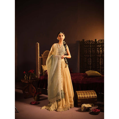 The Clothing Therapy Powder Blue Lehenga with Blouse and Dupatta (Set of 3)