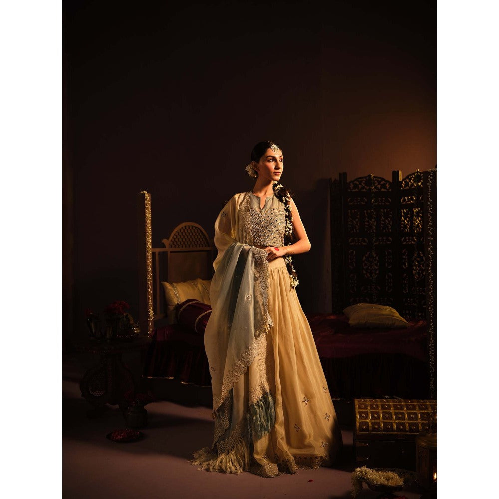 The Clothing Therapy Powder Blue Lehenga with Blouse and Dupatta (Set of 3)
