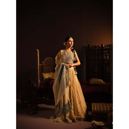 The Clothing Therapy Powder Blue Lehenga with Blouse and Dupatta (Set of 3)