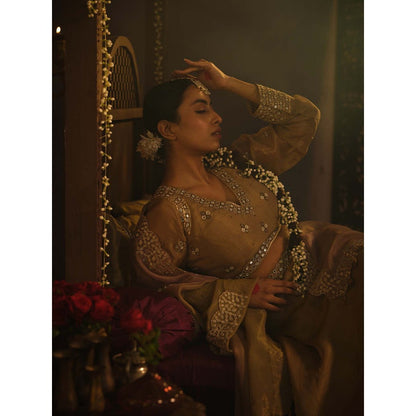 The Clothing Therapy Brown Lehenga with Blouse and Dupatta (Set of 3)