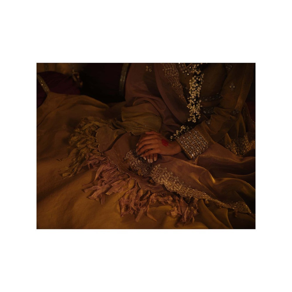 The Clothing Therapy Brown Lehenga with Blouse and Dupatta (Set of 3)