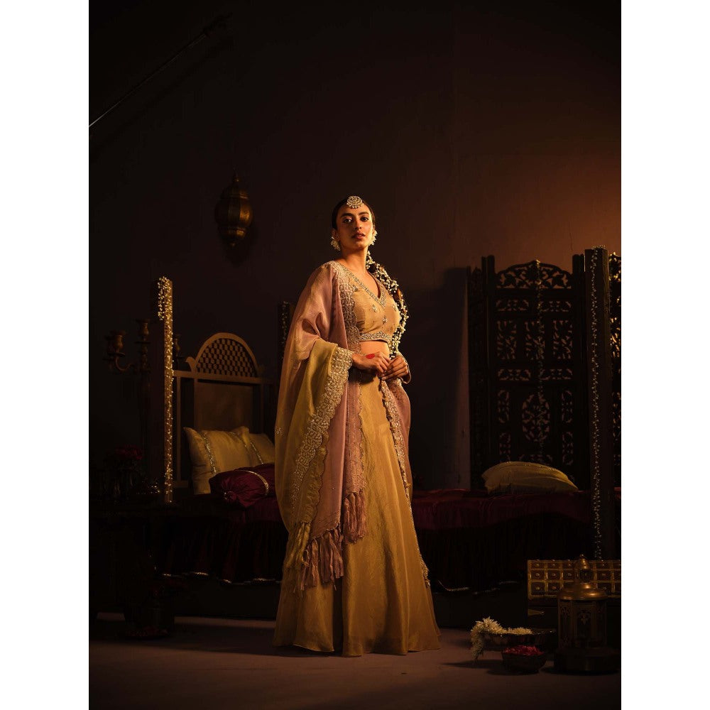 The Clothing Therapy Brown Lehenga with Blouse and Dupatta (Set of 3)