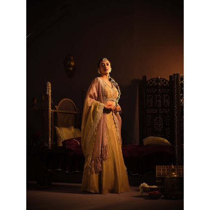 The Clothing Therapy Brown Lehenga with Blouse and Dupatta (Set of 3)