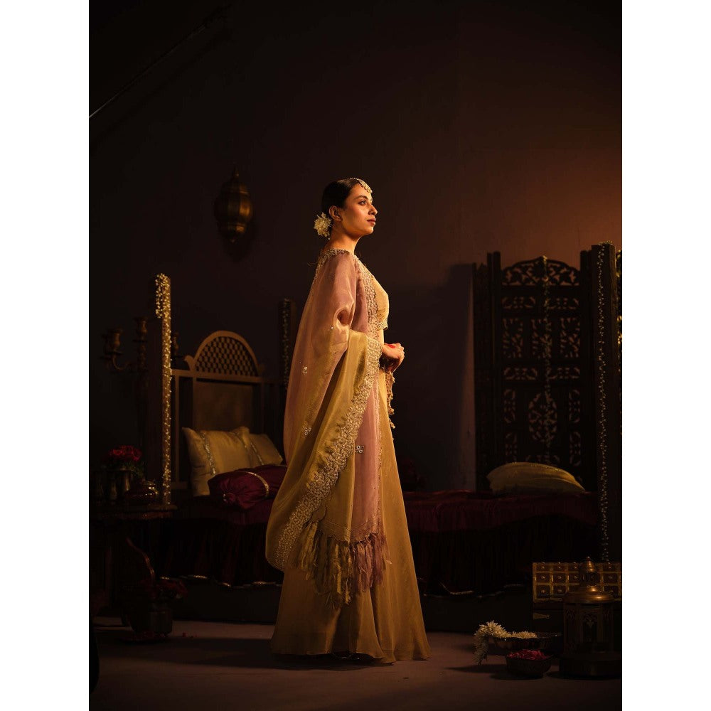 The Clothing Therapy Brown Lehenga with Blouse and Dupatta (Set of 3)