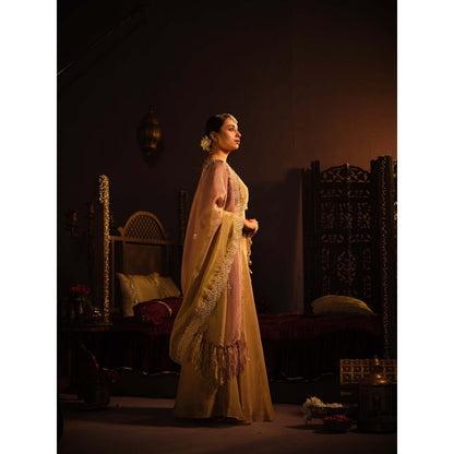 The Clothing Therapy Brown Lehenga with Blouse and Dupatta (Set of 3)