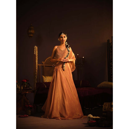 The Clothing Therapy Blush Pink Lehenga with Blouse and One Shoulder Drape (Set of 3)