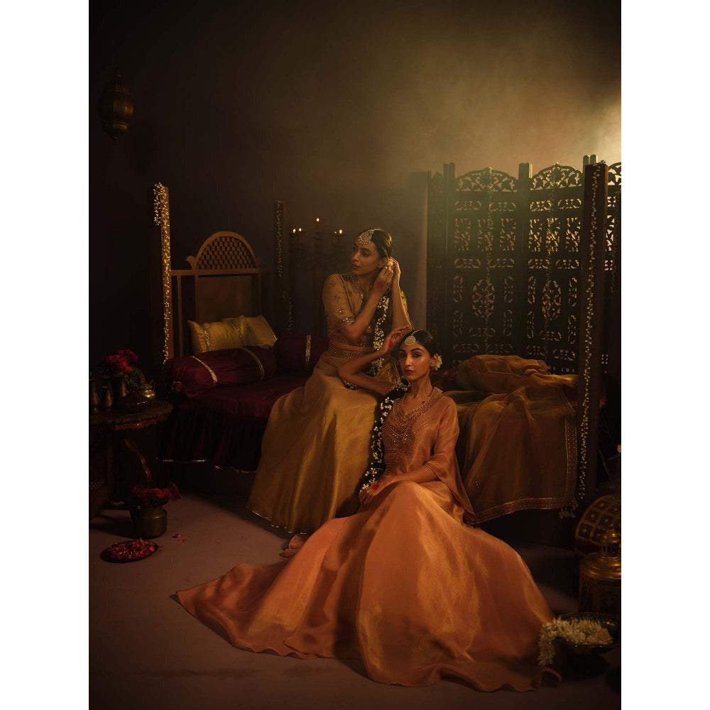 The Clothing Therapy Blush Pink Lehenga with Blouse and One Shoulder Drape (Set of 3)