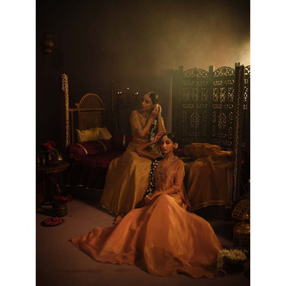 The Clothing Therapy Blush Pink Lehenga with Blouse and One Shoulder Drape (Set of 3)