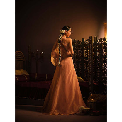 The Clothing Therapy Blush Pink Lehenga with Blouse and One Shoulder Drape (Set of 3)
