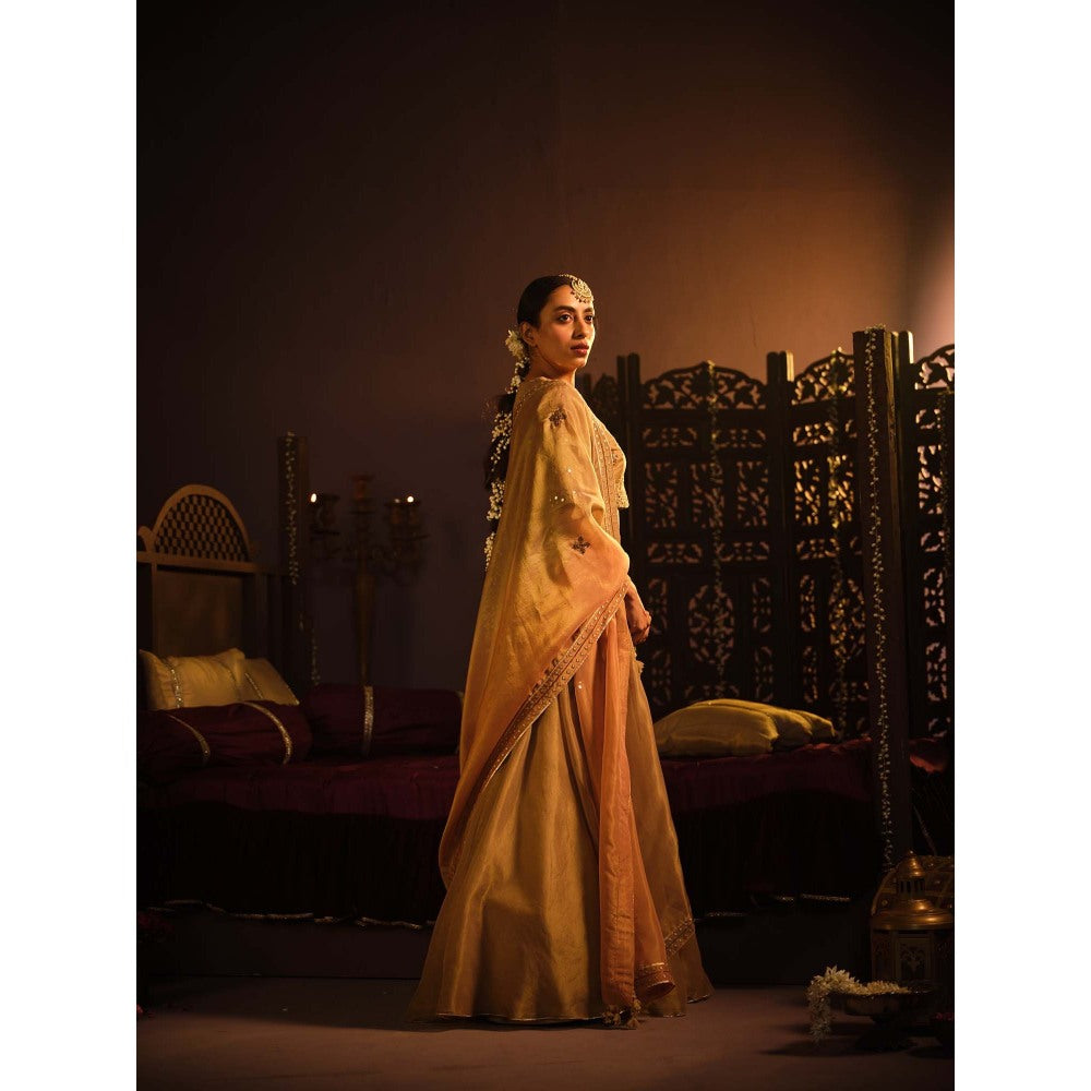 The Clothing Therapy Brown Lehenga with Blouse and Dupatta (Set of 3)