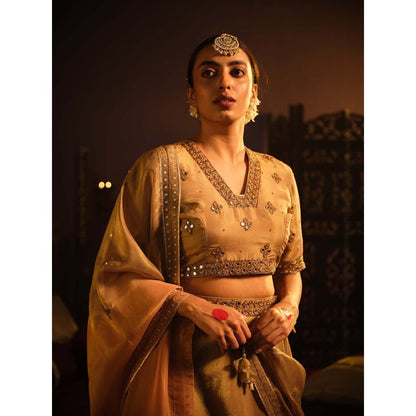 The Clothing Therapy Brown Lehenga with Blouse and Dupatta (Set of 3)