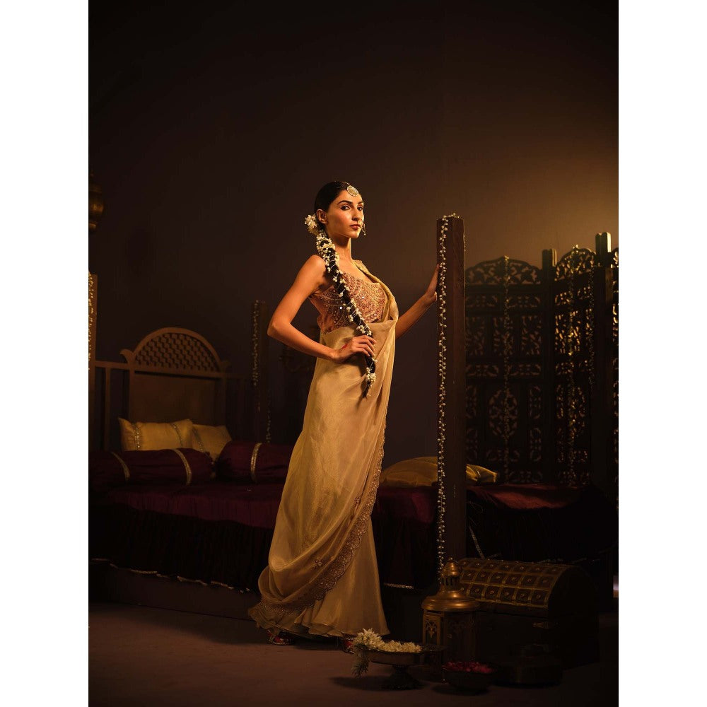 The Clothing Therapy Blush Gold Drape Saree with Stitched Blouse