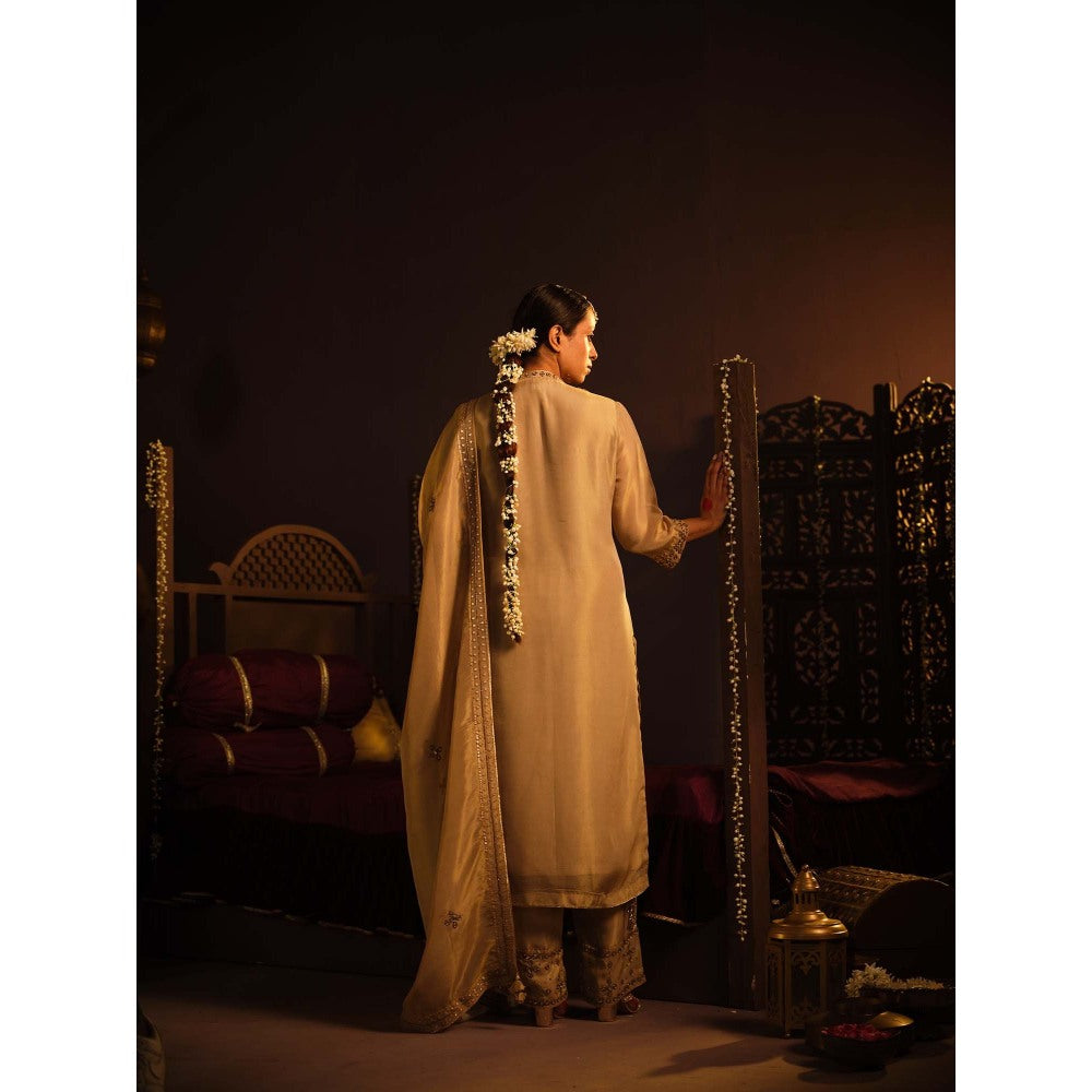The Clothing Therapy Brown Kurta with Pant and Dupatta (Set of 3)