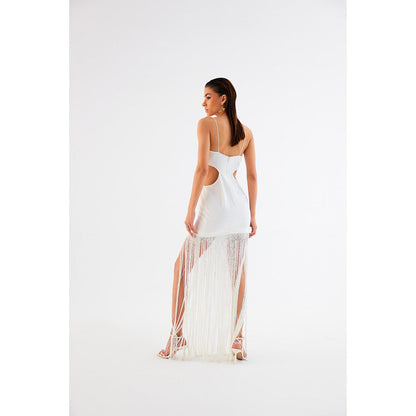 TISHARTH BY SHIVANI Mini Fringe Dress