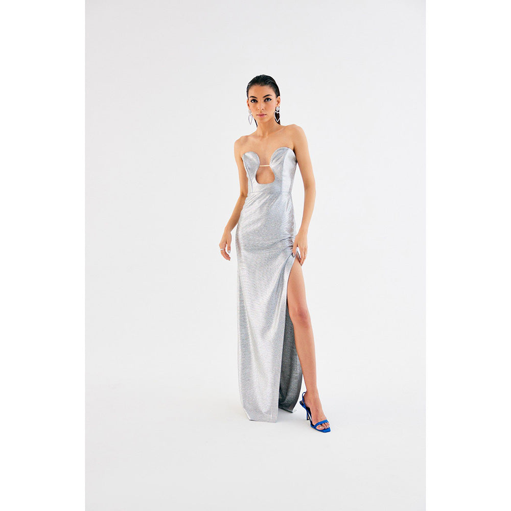 TISHARTH BY SHIVANI Metallic Long Slit Dress