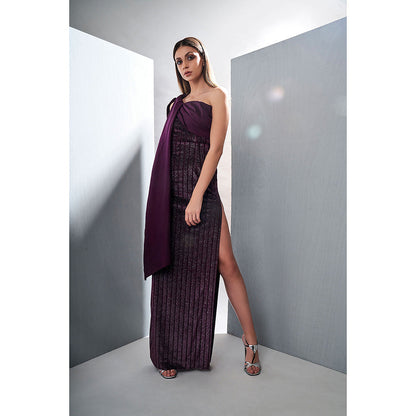 TISHARTH BY SHIVANI Purple Stretch Long Dress