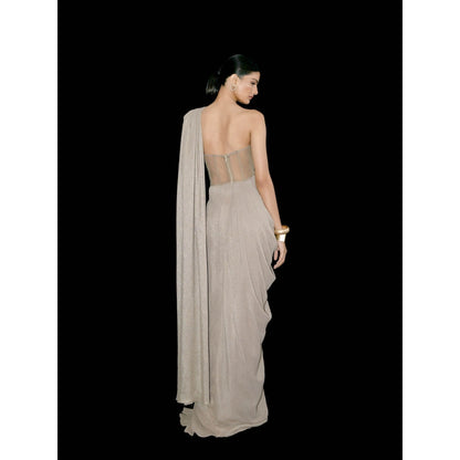 TISHARTH BY SHIVANI Silver Drape Corset Style Gown