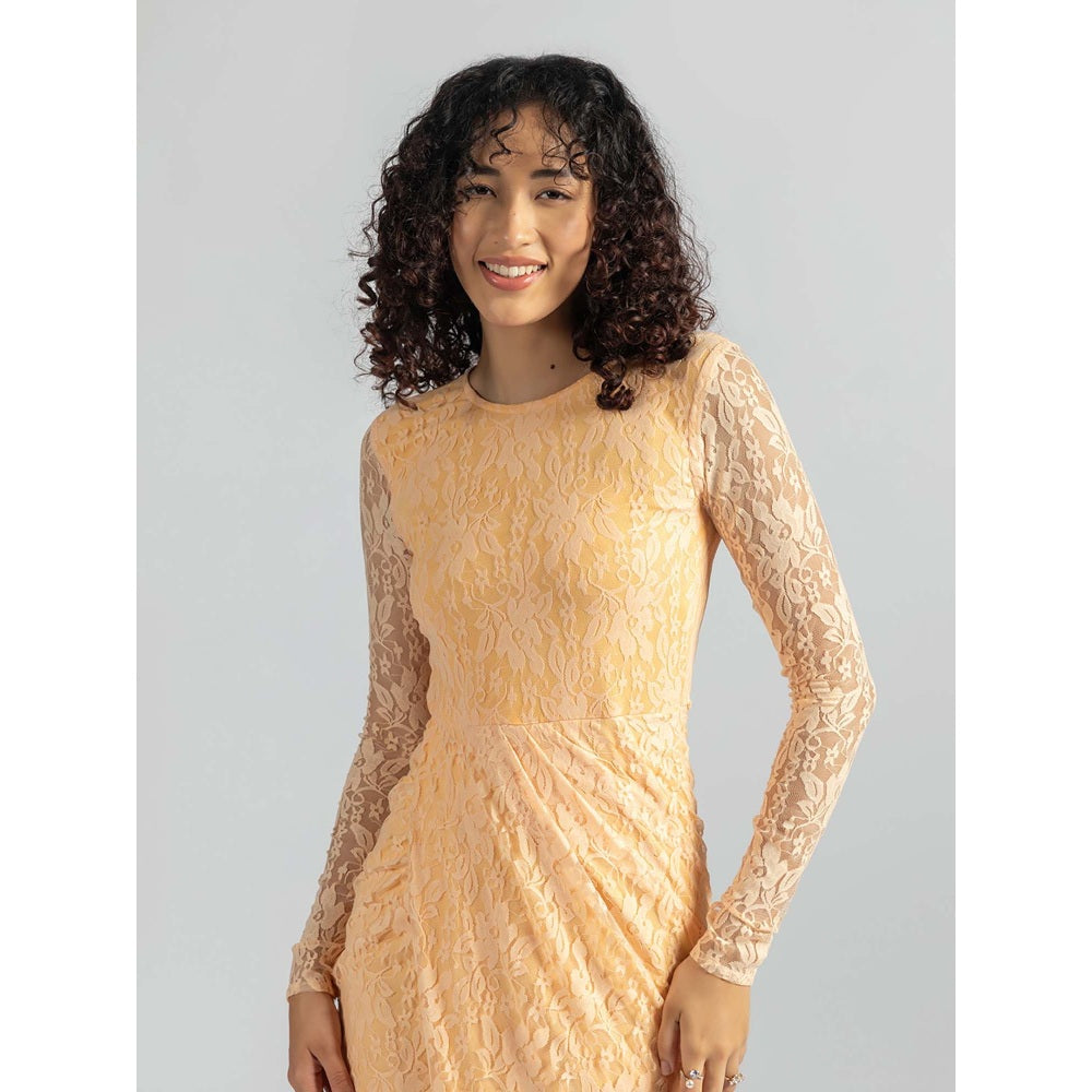 Torsha Orange Citrus Curve Dress
