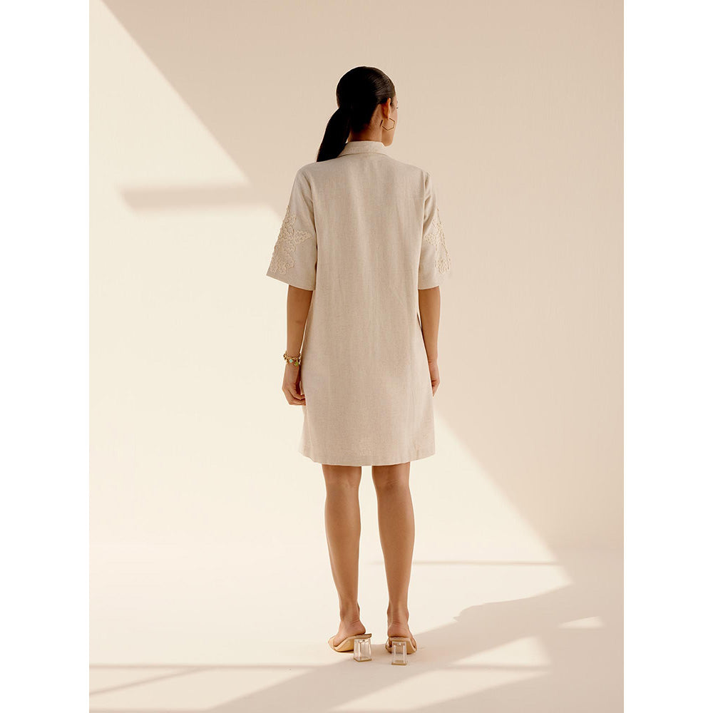 TRISARA Beige Sand Dress with Belt (Set of 2)