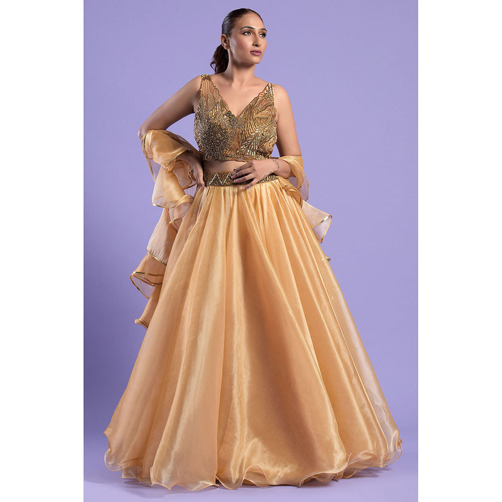"Two Sisters" by Gyans Shaded Gold Crop Top with Dupatta & Skirt (Set of 3)