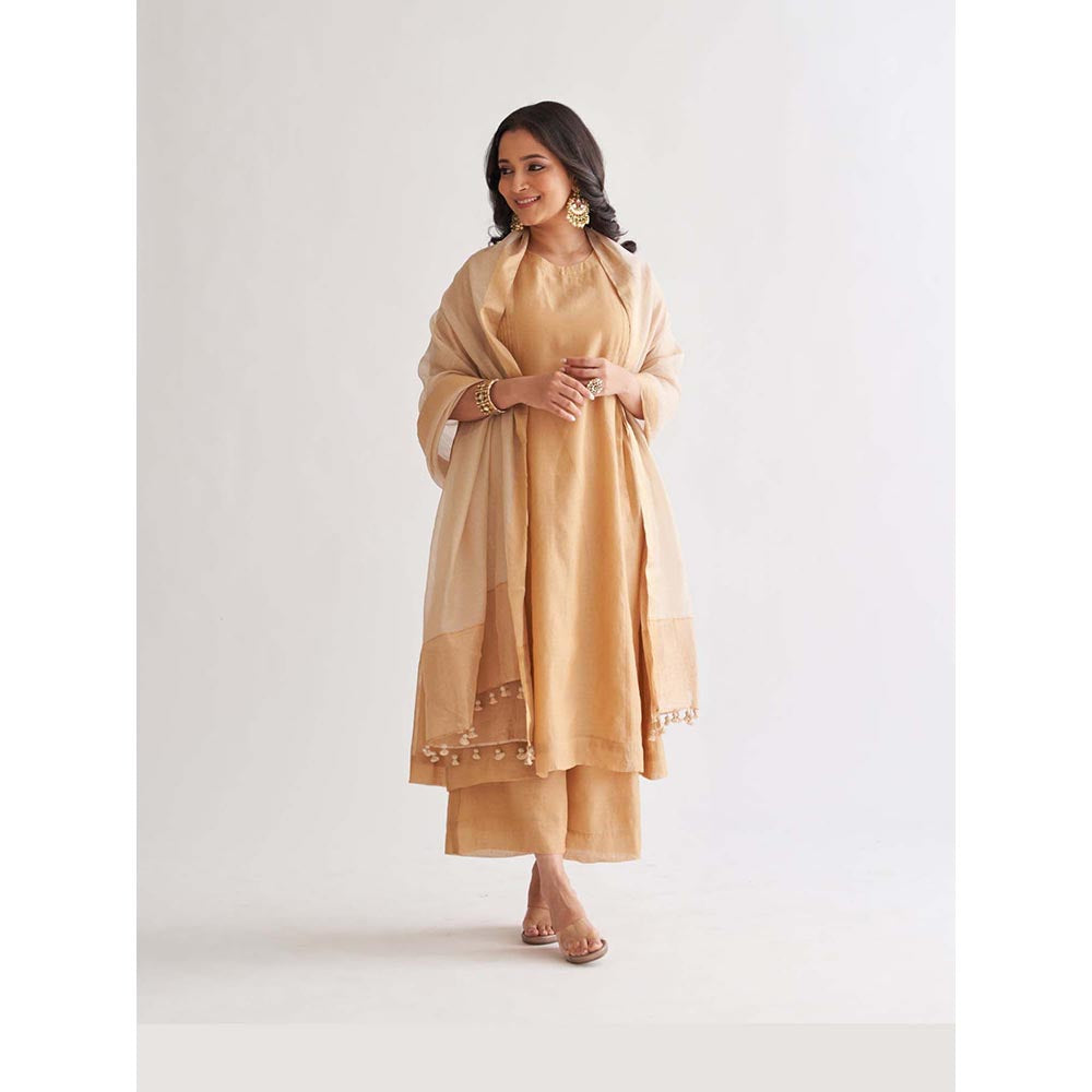 Vaaya The Gold Silk Tissue Chanderi Ensemble Kurta with Pant