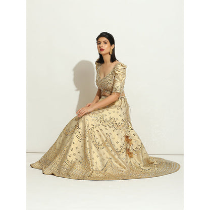 VANDANA SETHI Mirror Work Lehenga on an Ivory Shimmer Raw Silk (Set of 3)