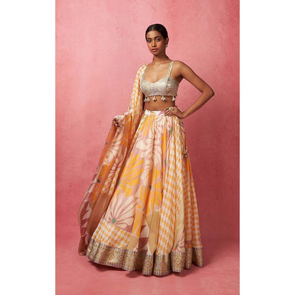 Vedika M Multi-Color Lehenga with Bustier and Dupatta (Set of 3)