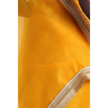 Via East Haldi Organza Rekha Saree