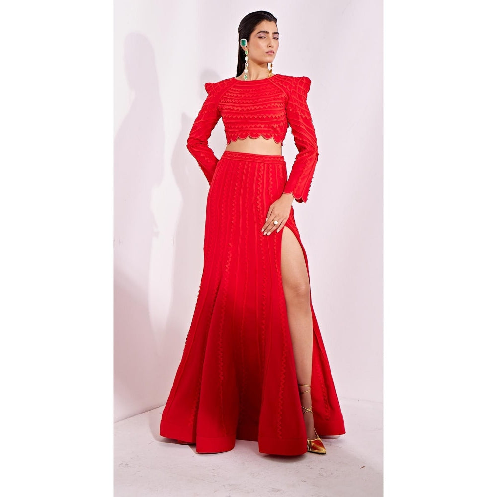 Vidhi Wadhwani Red Ania Top with Skirt (Set of 2)